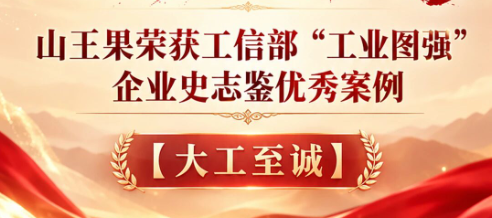 山王果入选工信部“大工至诚”优秀案例