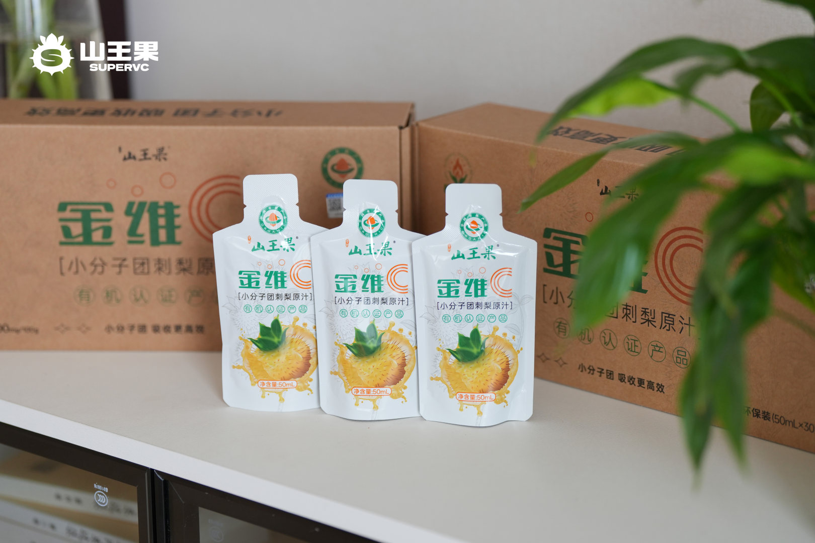 刺梨原汁金维C